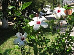 photos/olu_deniz/oludeniz063.jpg